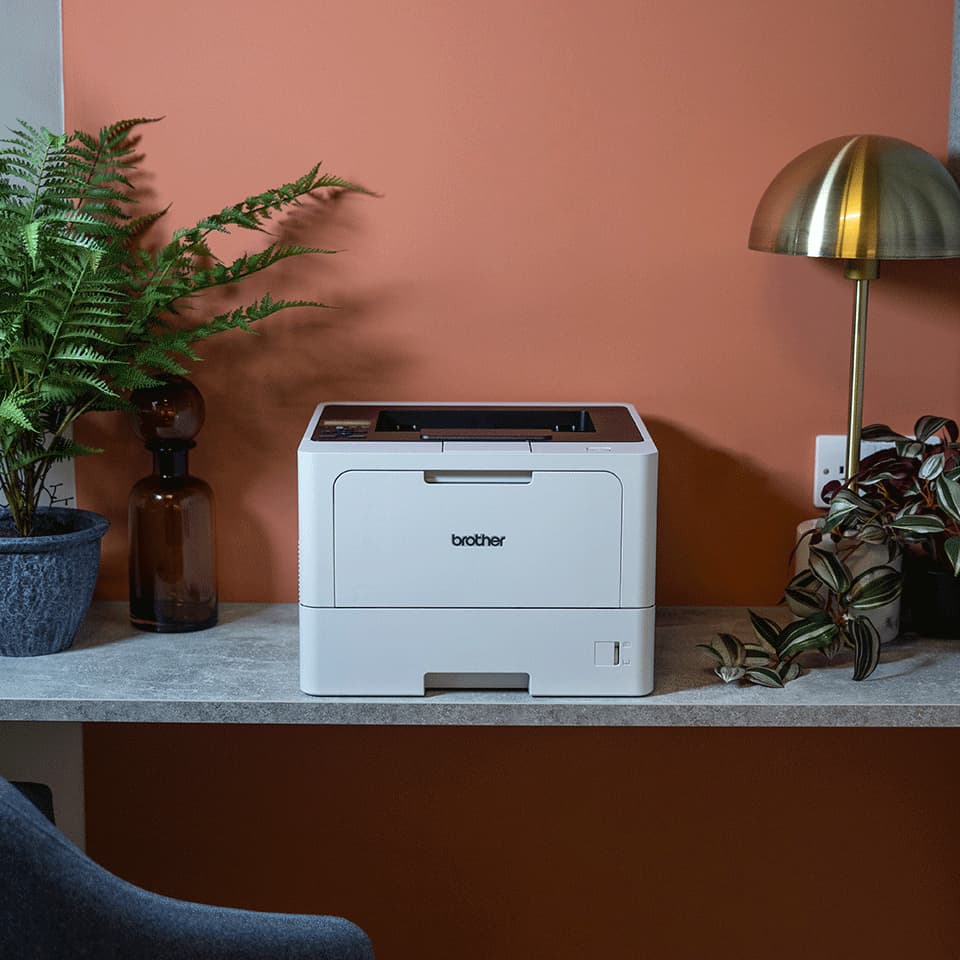 Brother HL-L5210DW, miniatura 4