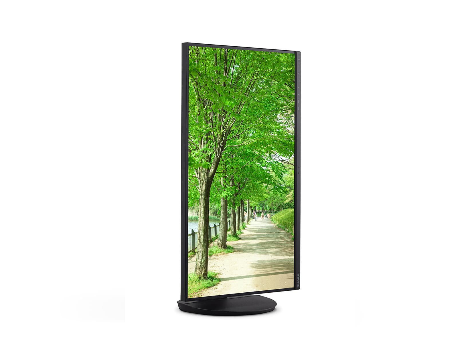 Sharp MultiSync EA272Q, miniatura 5