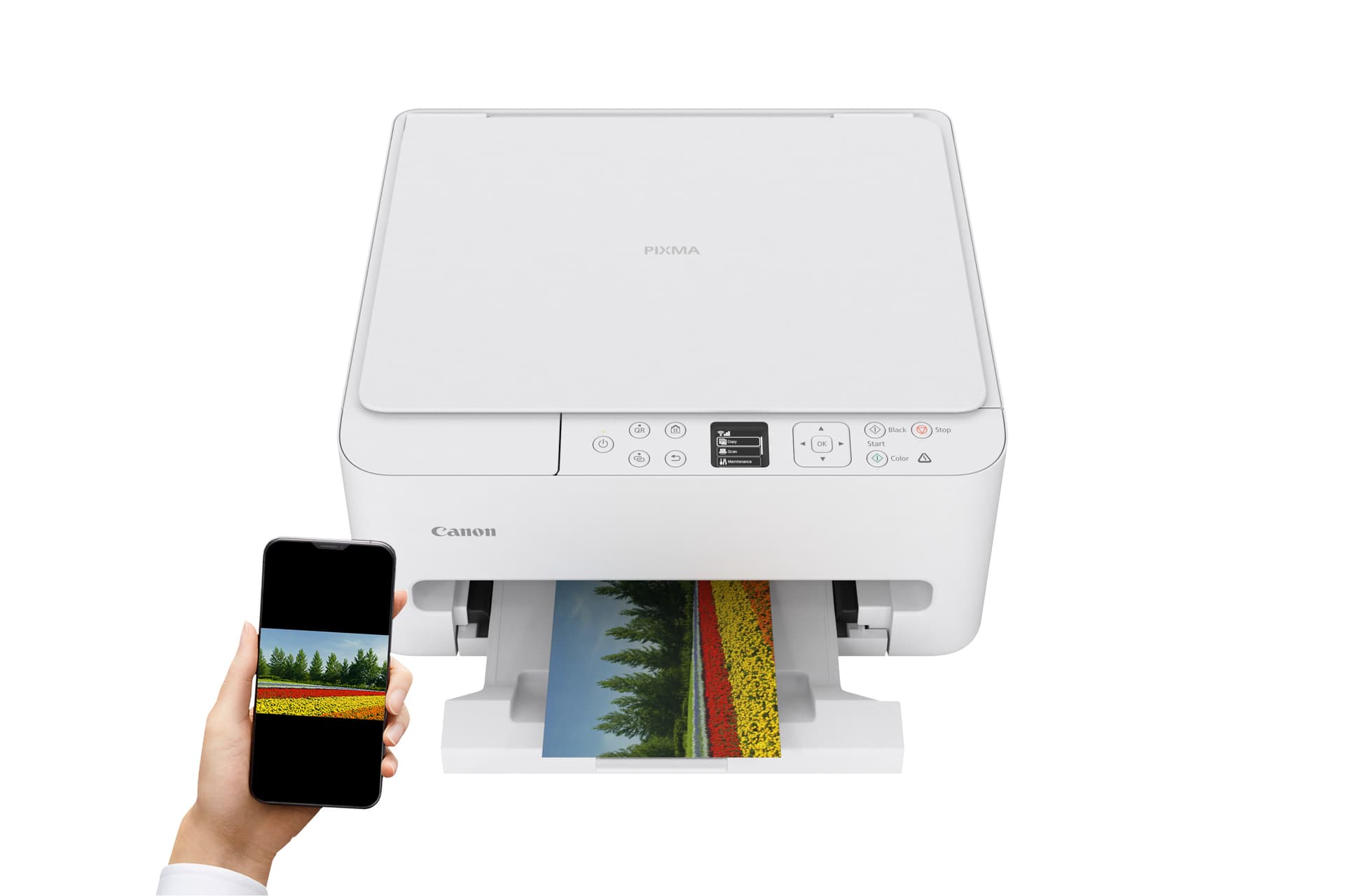Canon PIXMA TS6550i, miniatura 11