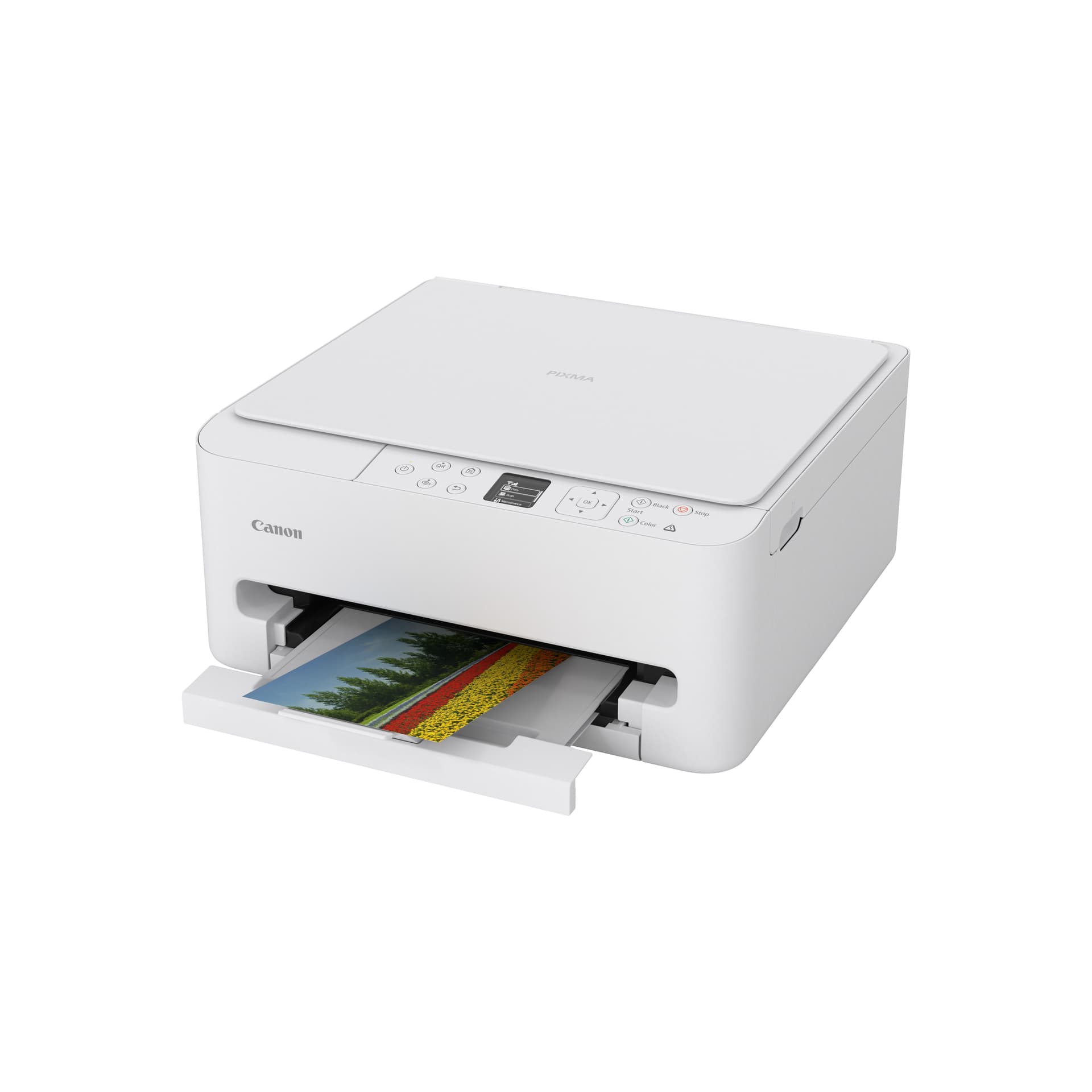 Canon PIXMA TS6550i, miniatura 5