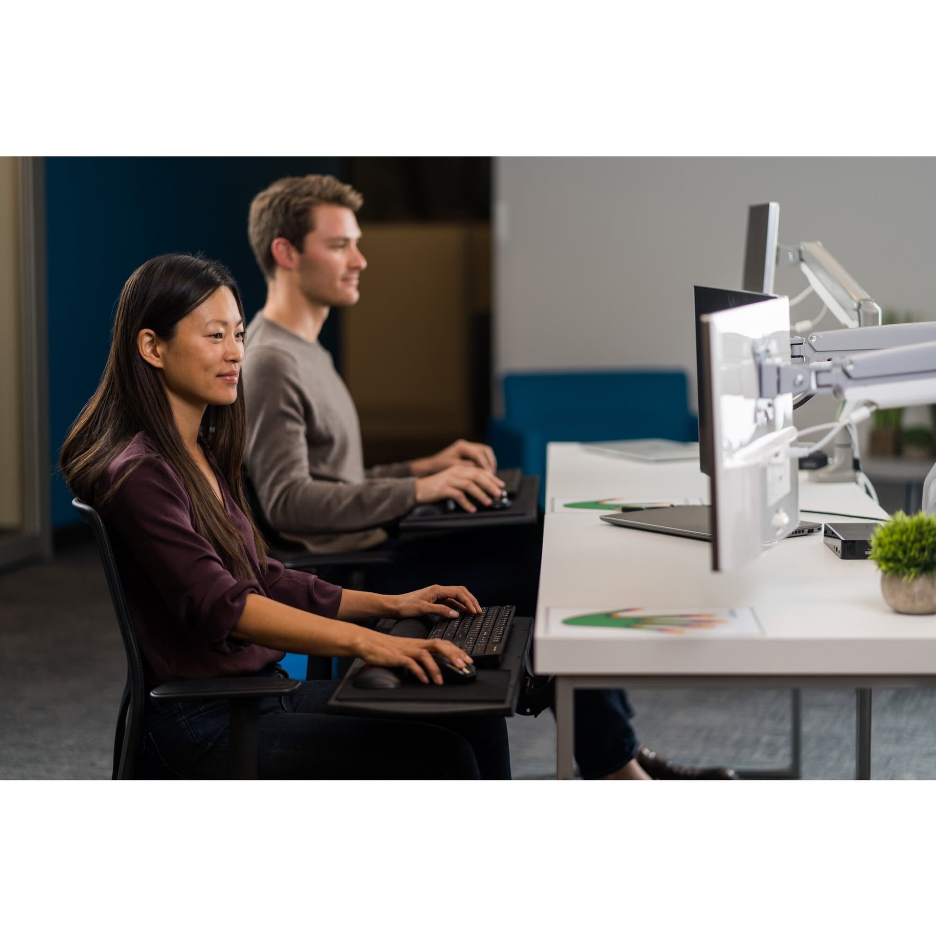 Kensington ErgoSoft, miniatura 10