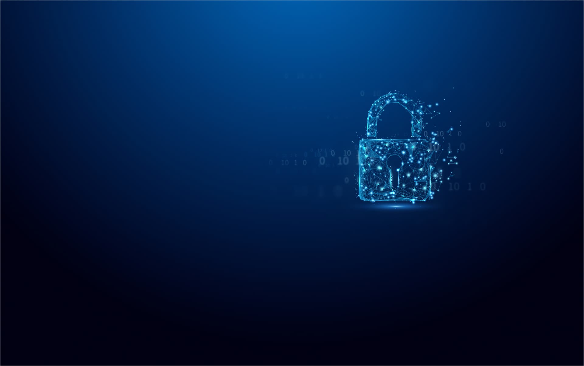 Kingston Technology IronKey Vault Privacy 50, miniatura 5