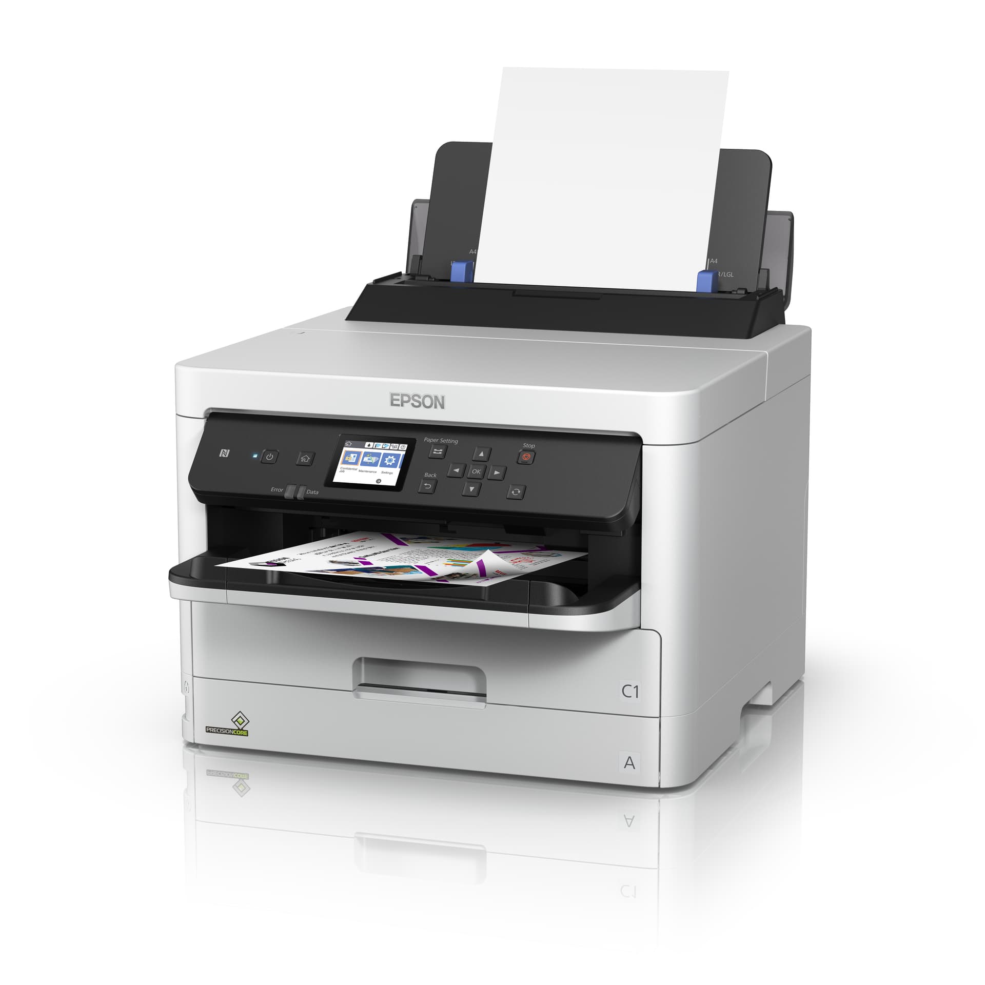 Epson DURABrite Pro, miniatura 3