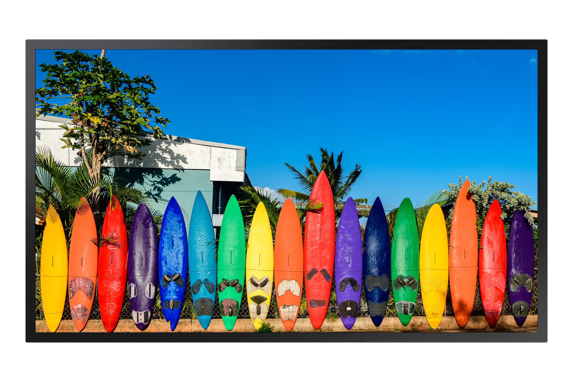 Samsung OM55B, 139,7 cm (55"), 3840 x 2160 pixels
