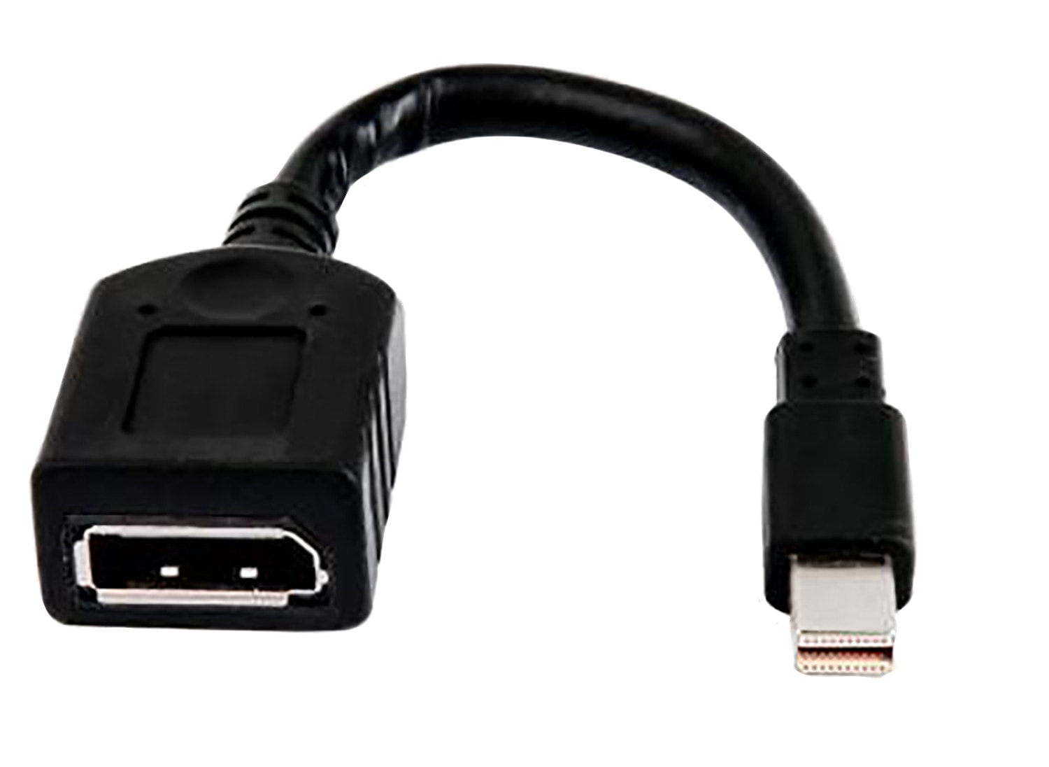 HP Cabo adaptador único Mini DisplayPort para DisplayPort