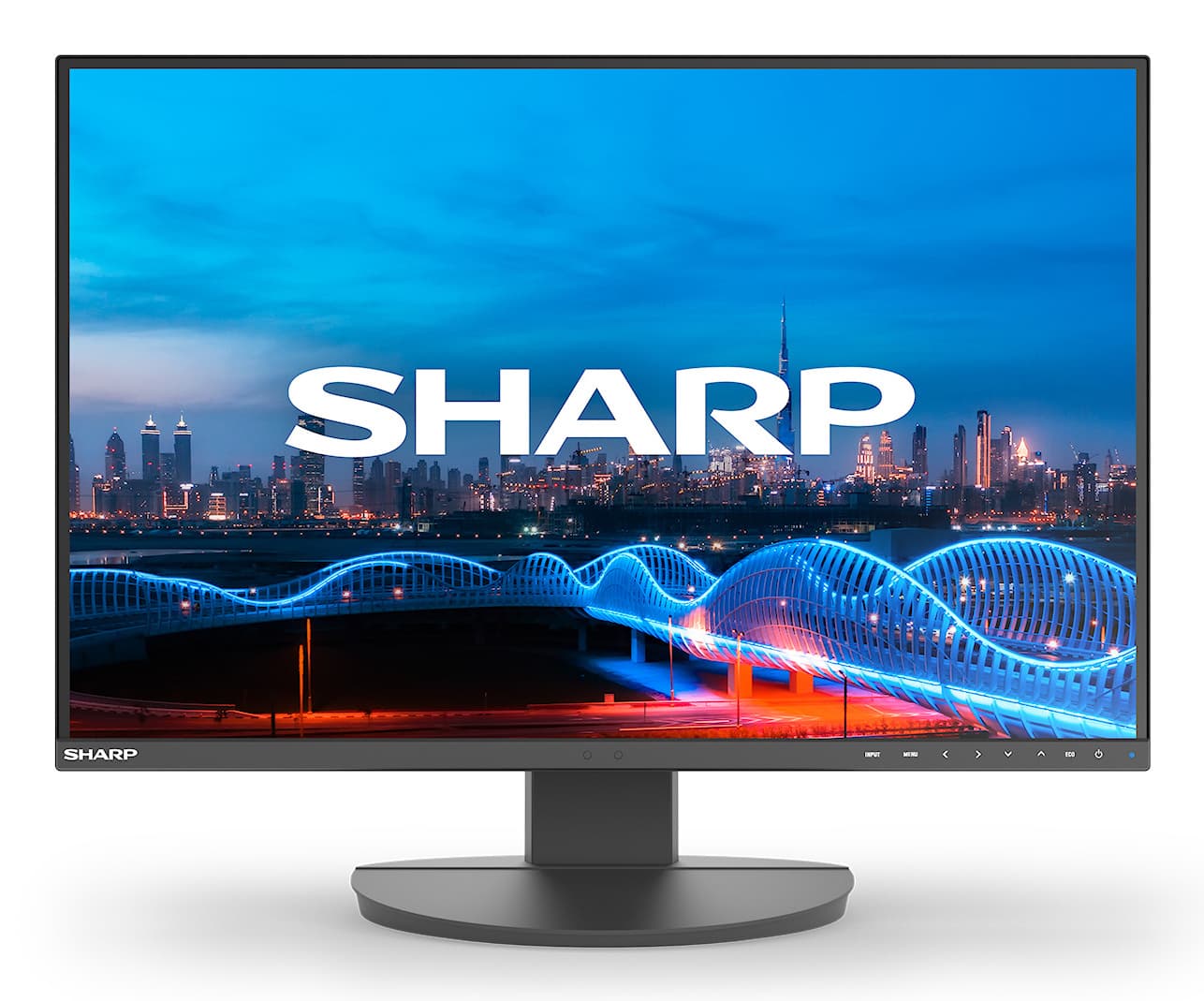 Sharp MultiSync EA241W, 61 cm (24"), 1920 x 1200 pixels